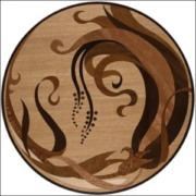 medallion-designs-hardwood-flooring-Installation-gallery-21